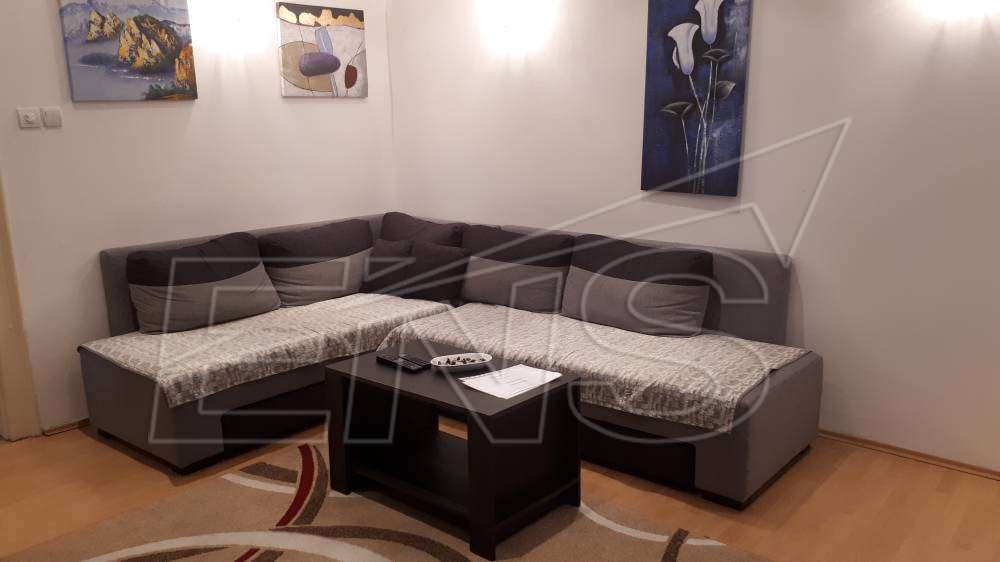Vračar, dvosoban stan u polusuterenu