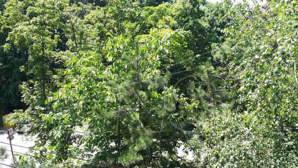 Banovo Brdo, dvosoban namešten stan